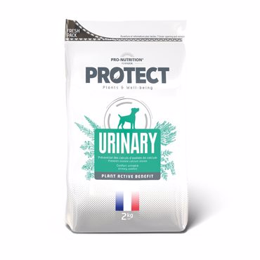 PROTECT DOG URINARY 2KG ΚΛΙΝΙΚΗ ΞΗΡΑ ΤΡΟΦΗ ΓΙΑ ΣΚΥΛΟΥΣ